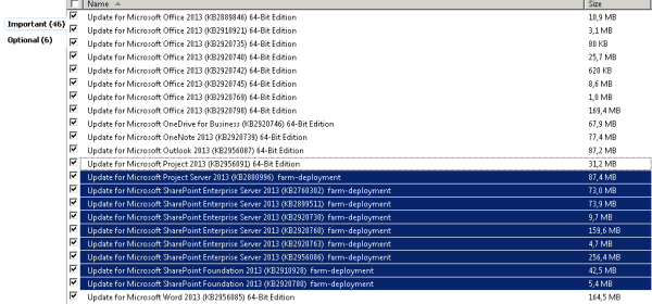 Mises à jour Project Server et SharePoint Enterprise dans Windows Update
